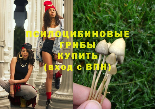 марки lsd Богданович